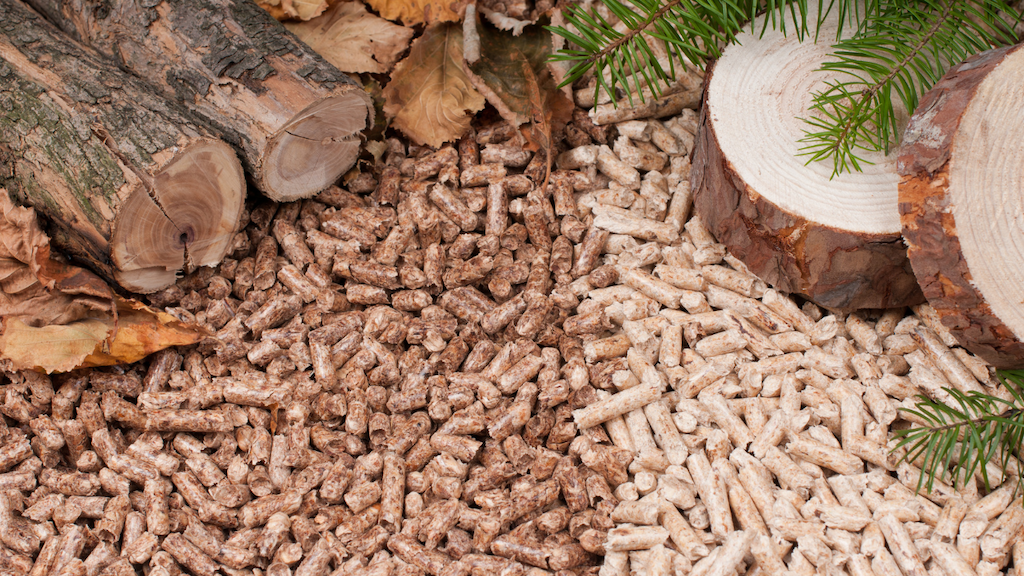 Biomass nang lượng sinh khối