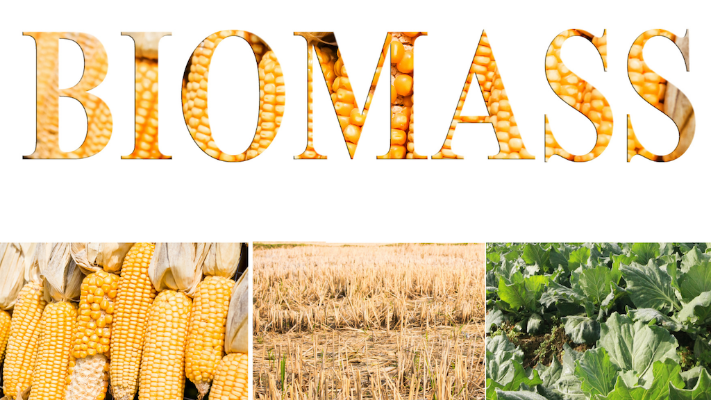 Biomass