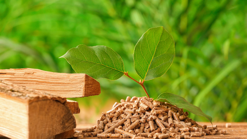 biomass năng lượng tái tạo