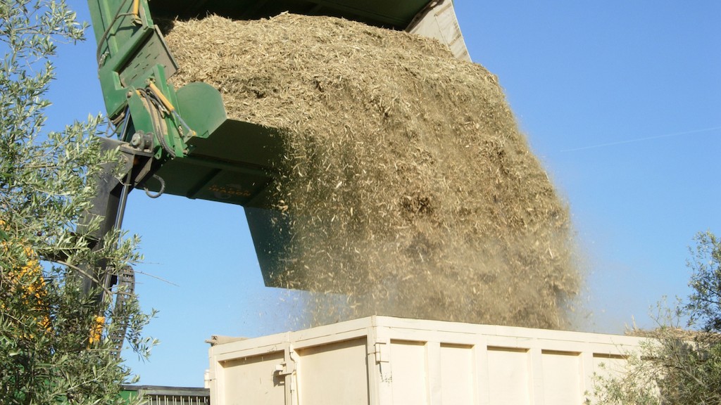 biomass nông nghiệp